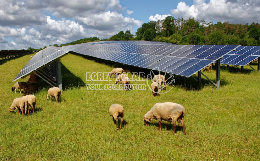 Kerjasama Strategik antara Teknologi Tenaga Baharu Solar Egret dan Tenaga Konsep Pintar